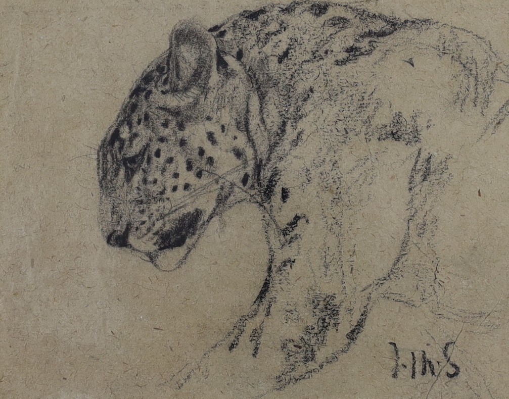 John Macallan Swan (1847-1910), black chalk, Leopard's head, initialled, 9 x 11.5cm
